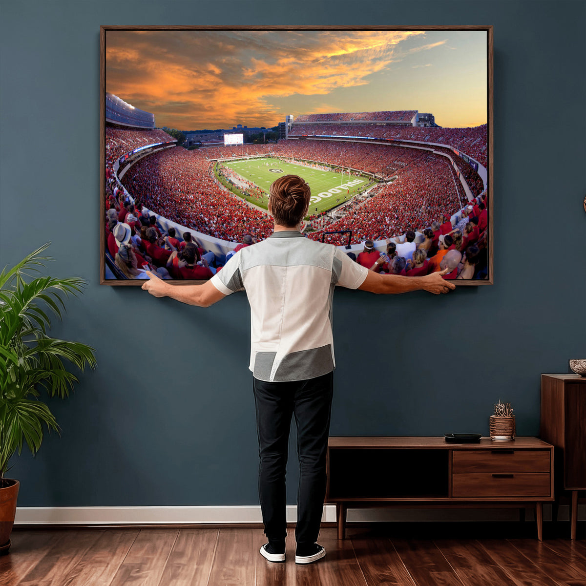 73680988-MGV-CV-36X24 - Dooley Stadium Wall Art, Sports Arena Canvas Print, Dooley Field, Framed and Ready to Hang