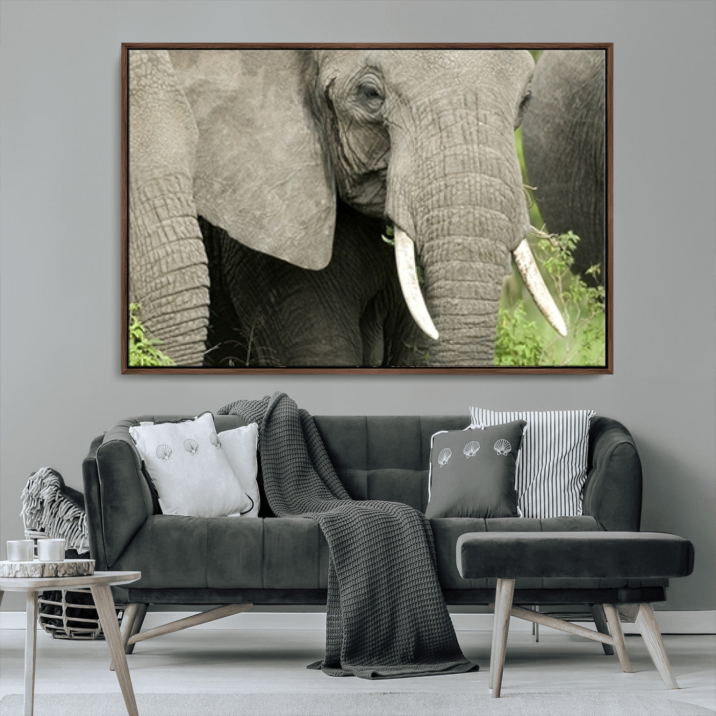 MGV-FC-36X24 - Wild Elephant Wall Art Canvas Print