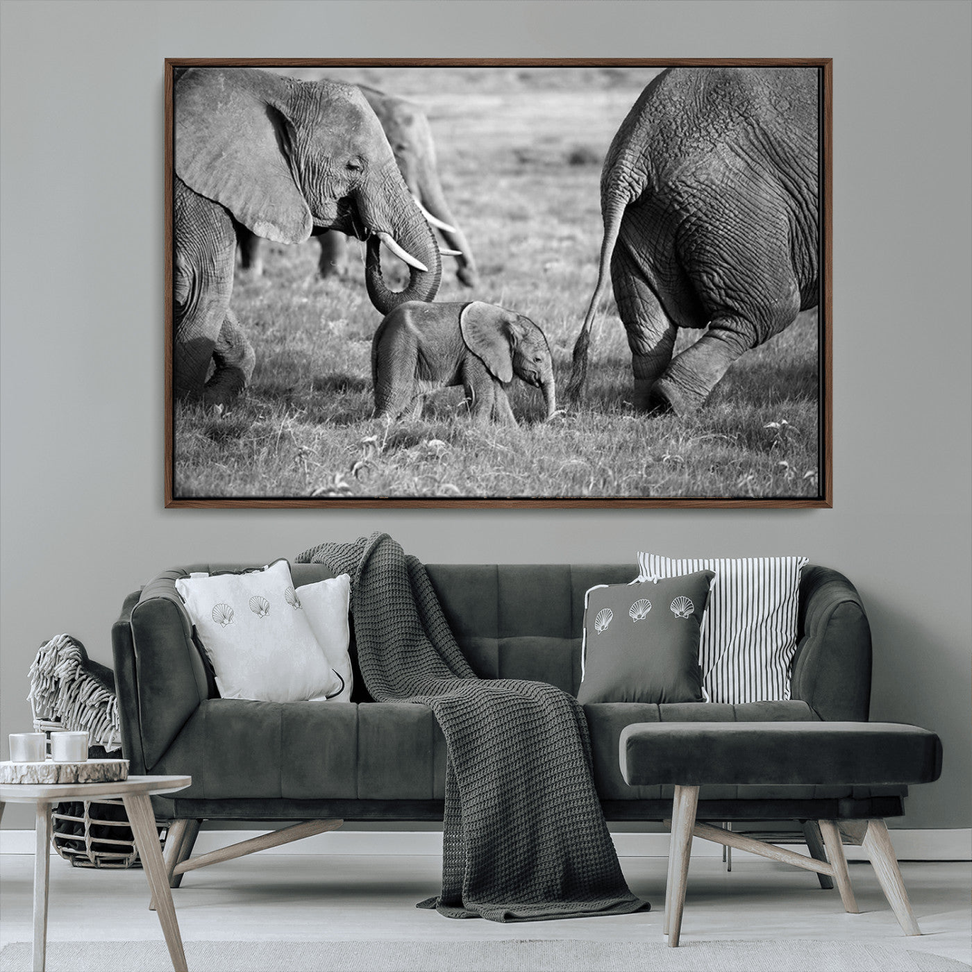 MGV-FC-36X24 - Wild Elephant Wall Art Canvas Print