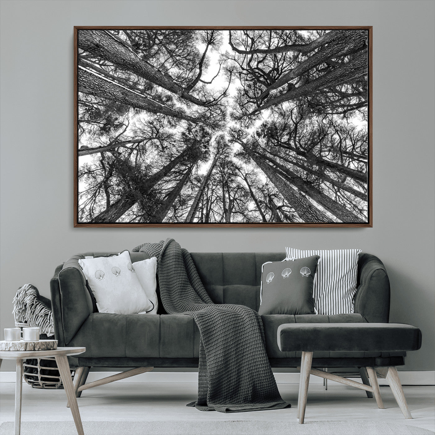MGV-FC-36X24 - Trees Contemporary Art Canvas Print