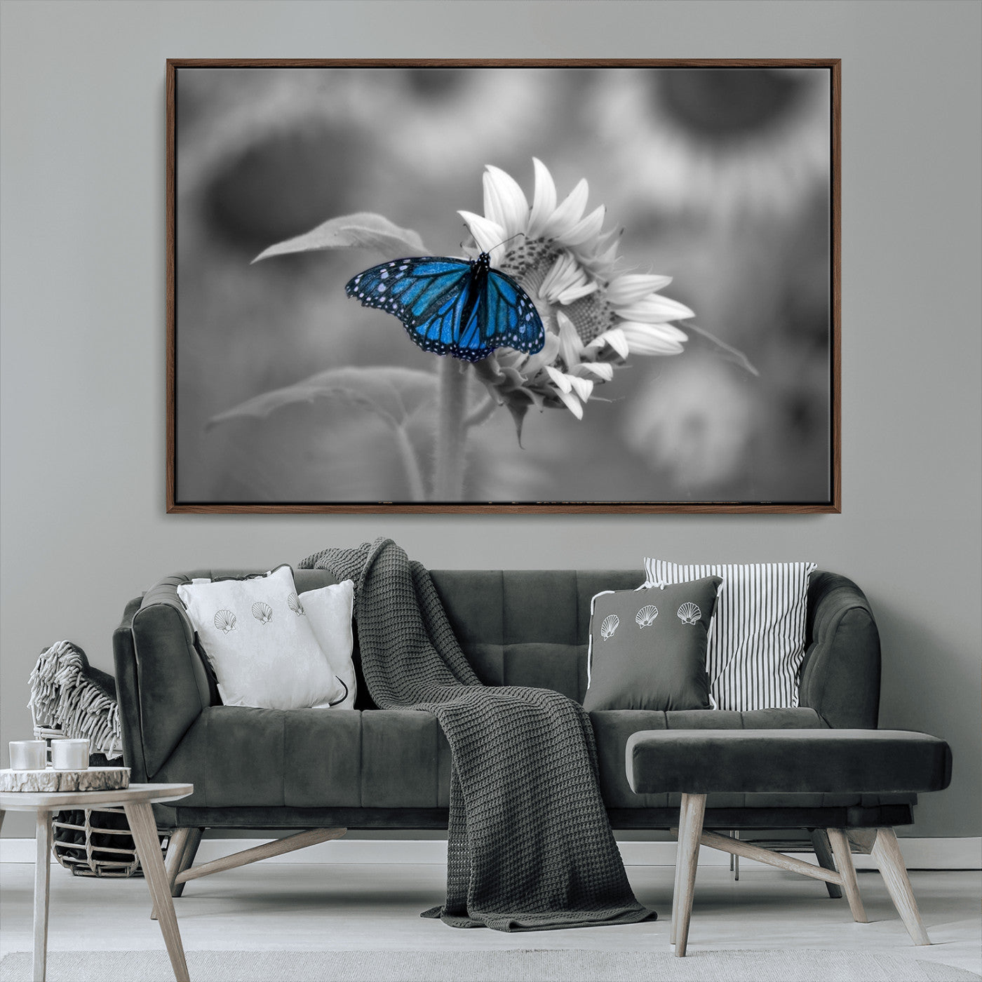 MGV-FC-36X24 - Blue Butterfly Black and White Canvas Wall Art