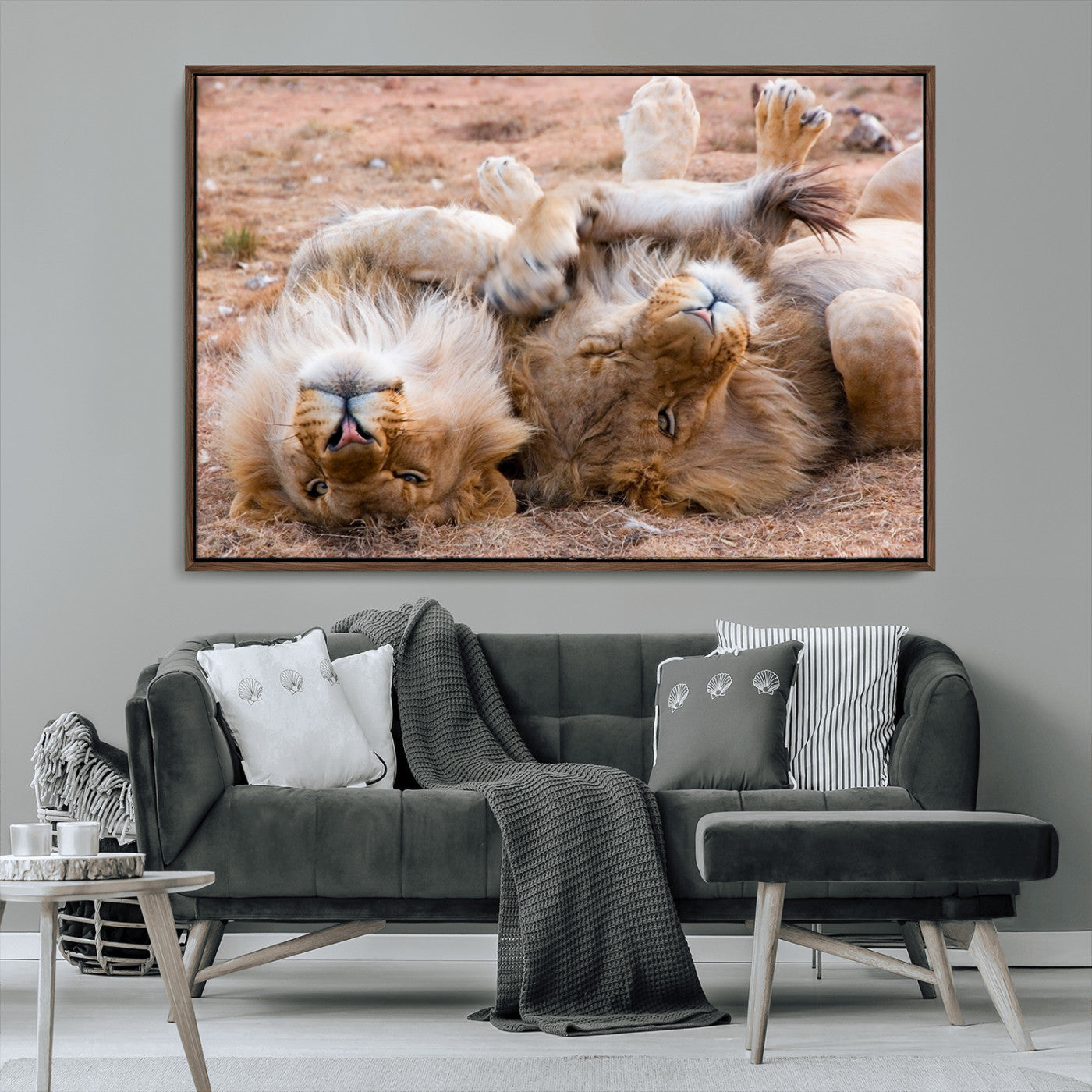MGV-FC-36X24 - Animal Wall Art Lion Canvas Print