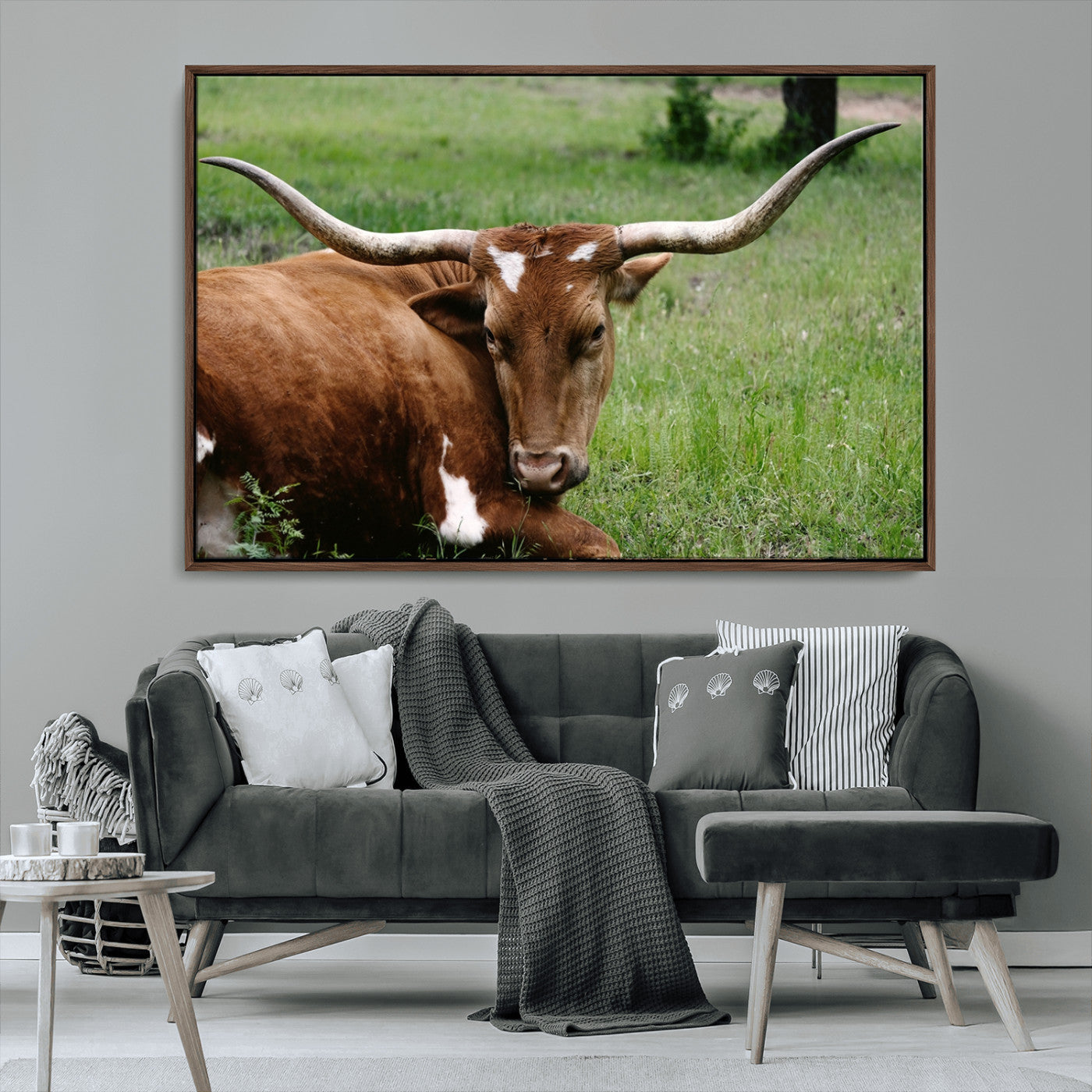 MGV-FC-36X24 - Longhorn Cow Animal Wall Art Canvas Print