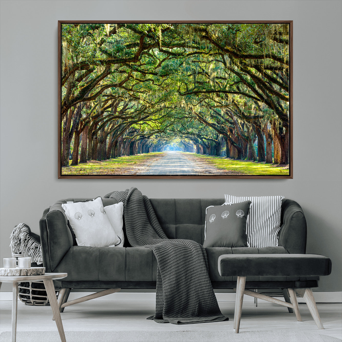 MGV-FC-36X24 - Wormsloe State Plantation Driveway Wall Art Canvas Print