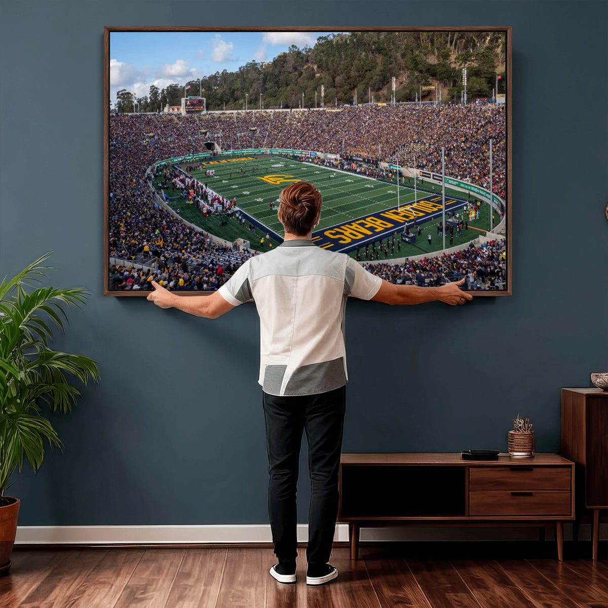 38054-MGV-CV-36X24 - University of California Golden Bears Football Team Print - Berkeley California Memorial Stadium Art