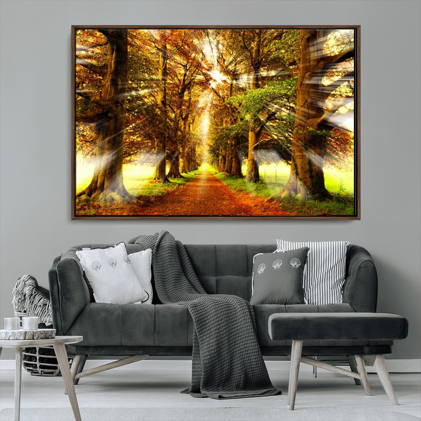 MGV-FC-36X24 - Sunshine in Forest and Trees Wall Art Canvas Print