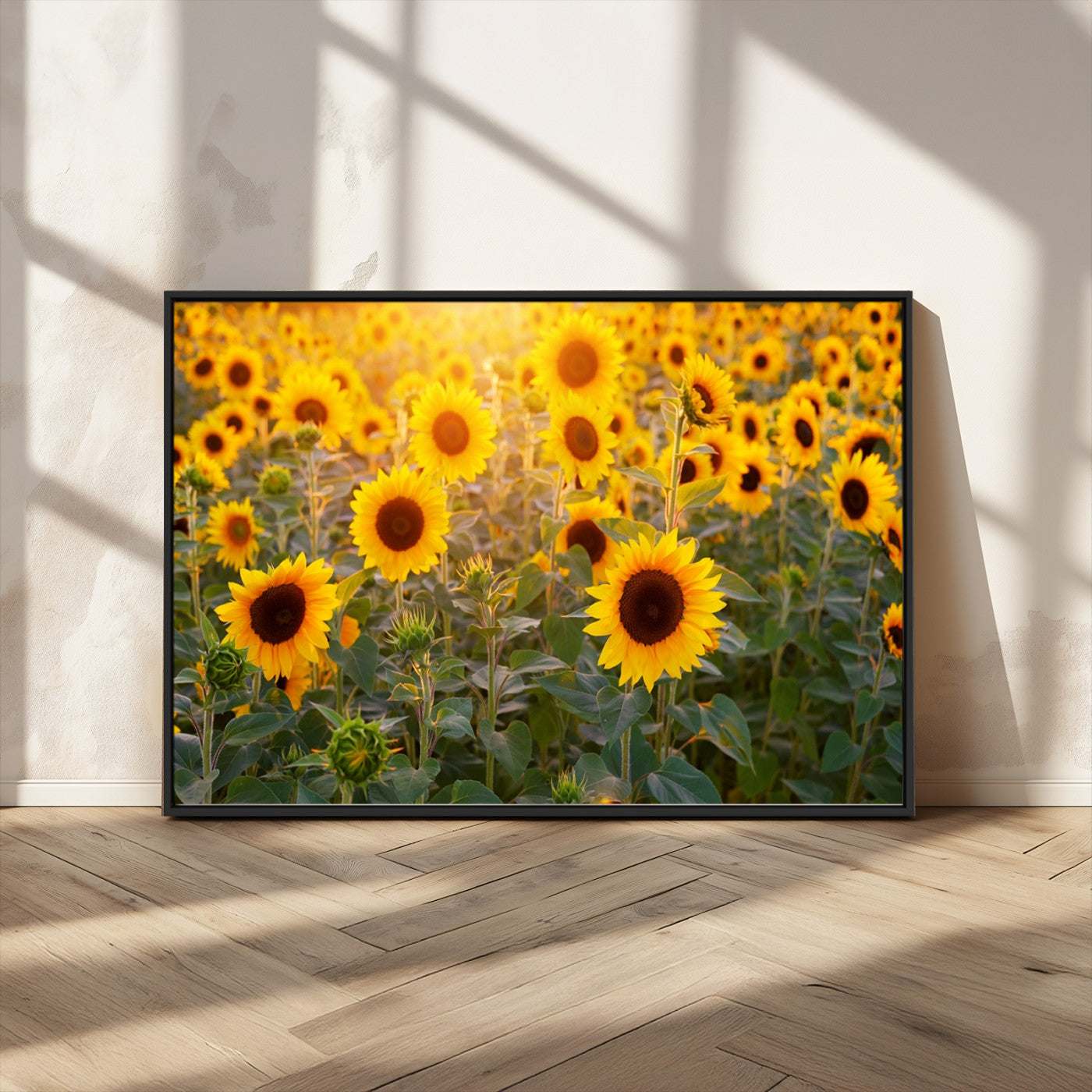 MGV-FC-36X24 - Sunflower Sunshine Wall Art Canvas Print