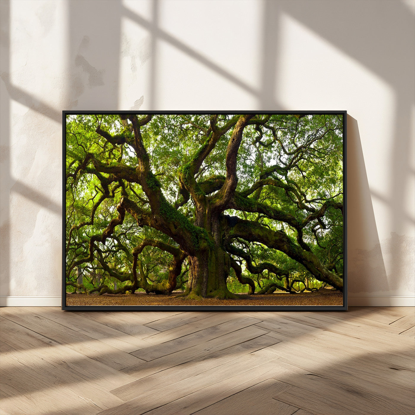 MGV-FC-36X24 - Angel Oak Tree Wall Art Canvas Print | Forest Tree Nature Photography Print on Canvas | Large Triptych Art for Living Room or Office Decor