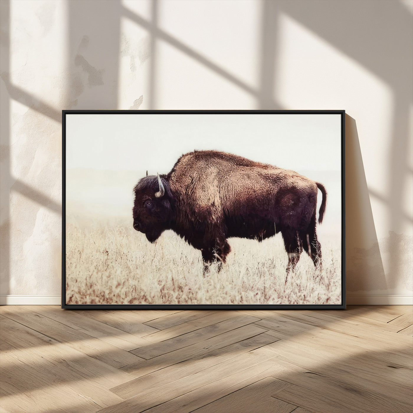 MGV-FC-36X24 - Bison in Field Wall Art Canvas Print For Farmhouse Barn Decor
