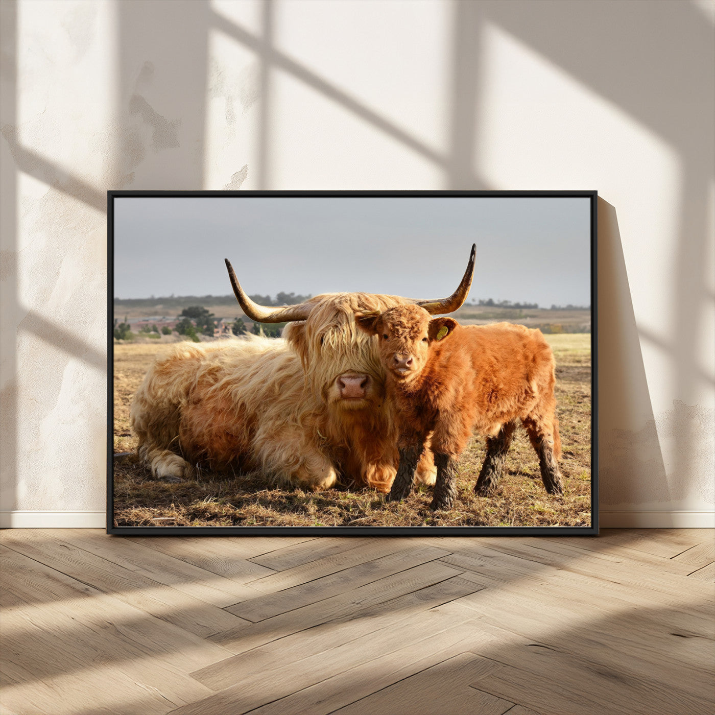 MGV-FC-36X24 - Highland Cow Canvas Wall Art Animal Print for Farm House Decor