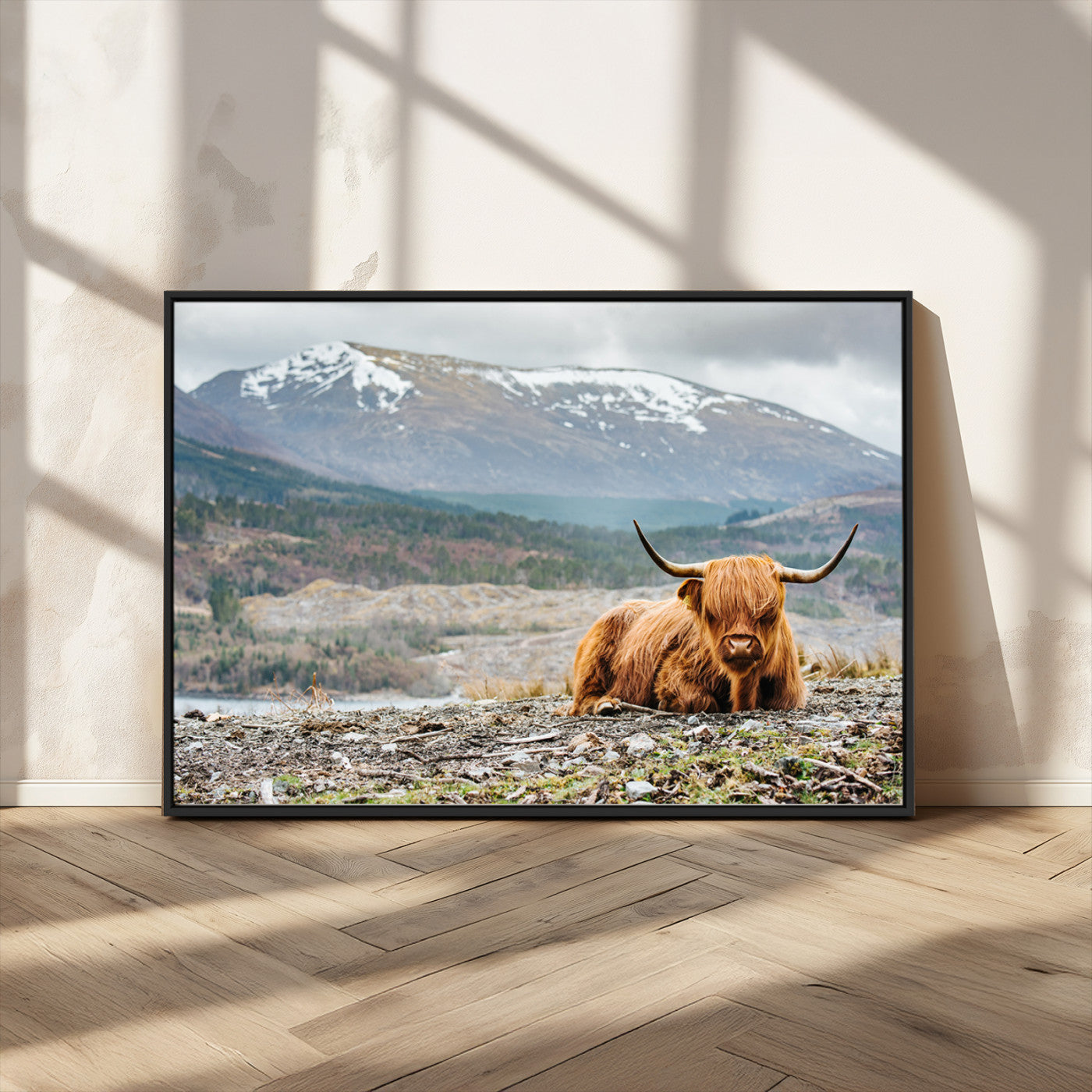-Highland Cow Horn Farm Wall Art Canvas Print