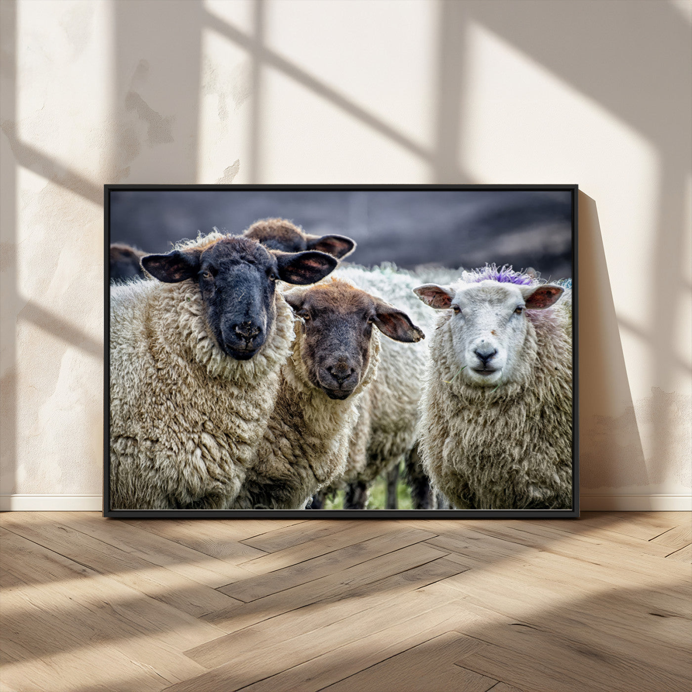 18418-MGV-FC-36X24_Black-Charming Sheep Portrait Wall Art – Trio of Woolly Companions Canvas Print, Framed, Ready to Hang