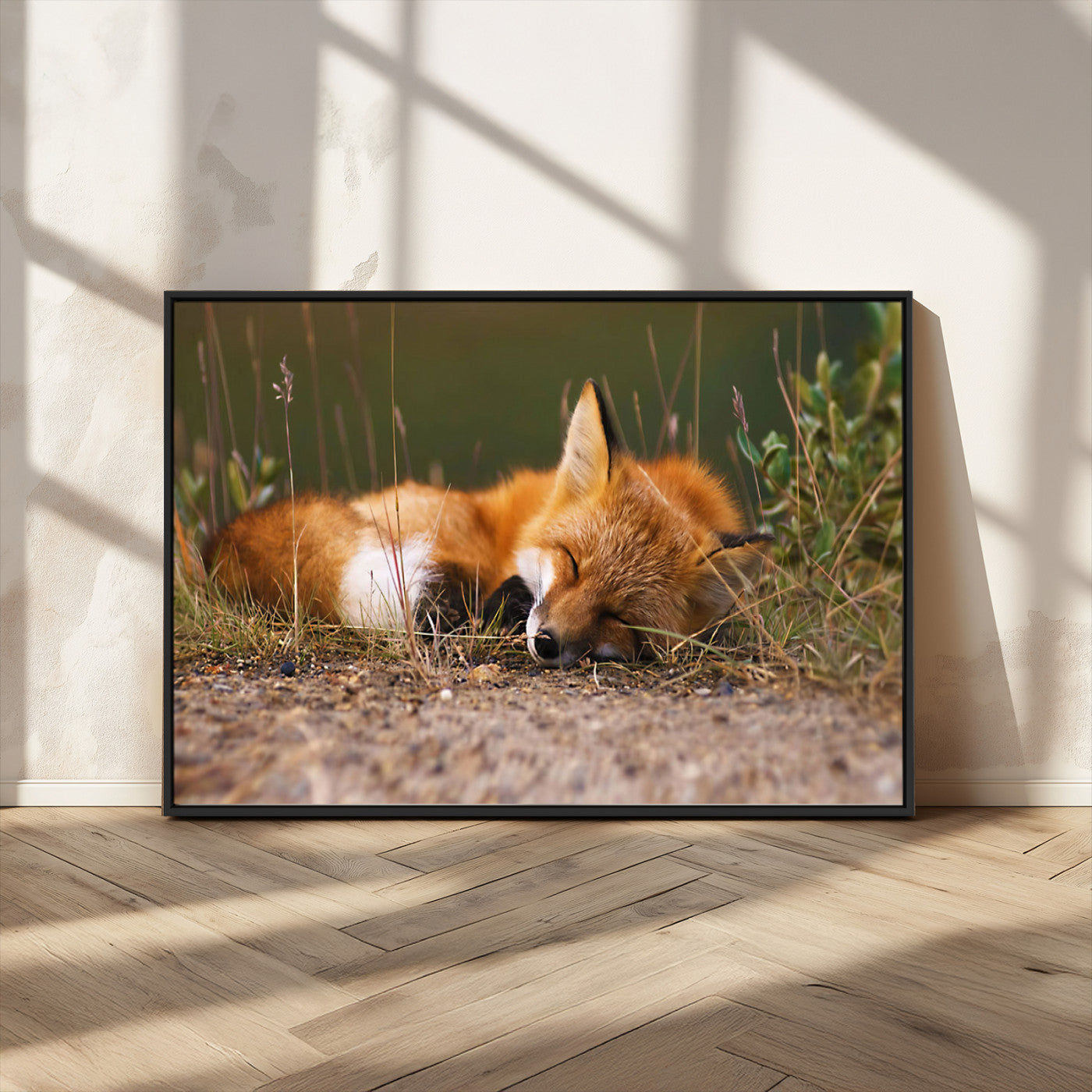 25085-MGV-FC-36X24_Black-Sleeping Fox Wall Art Canvas Print, Farmhouse Wall Decor and Animal Wall Art Print