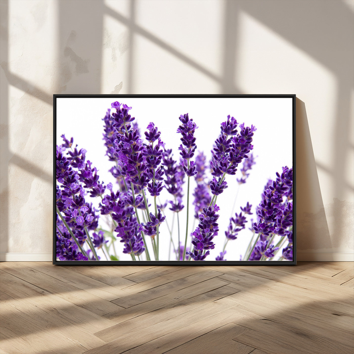 MGV-FC-36X24 - Lavender Flower Wall Art Canvas Print
