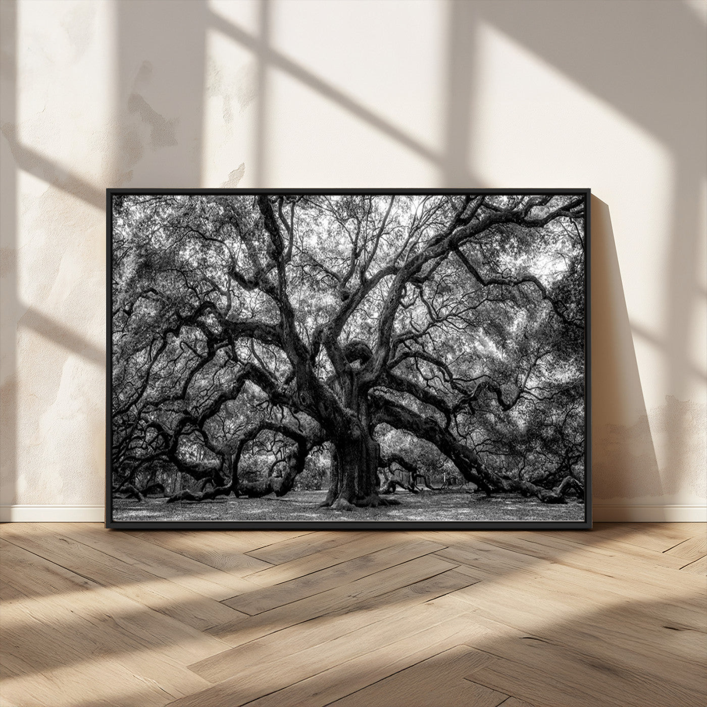 MGV-FC-36X24 - Black and White Old Angel Oak Tree Wall Art Canvas Print