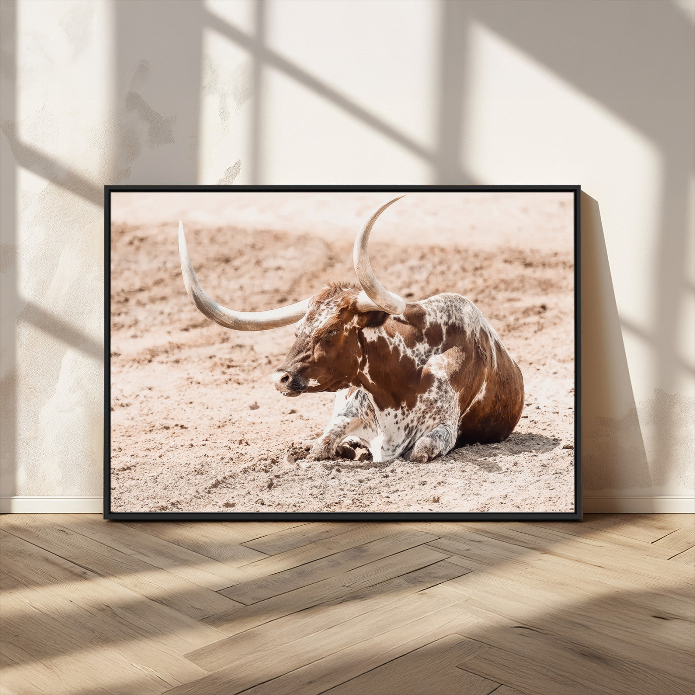Texas Longhorn bull resting on dusty ground with warm tones, ideal for rustic western or farmhouse-themed wall decor.