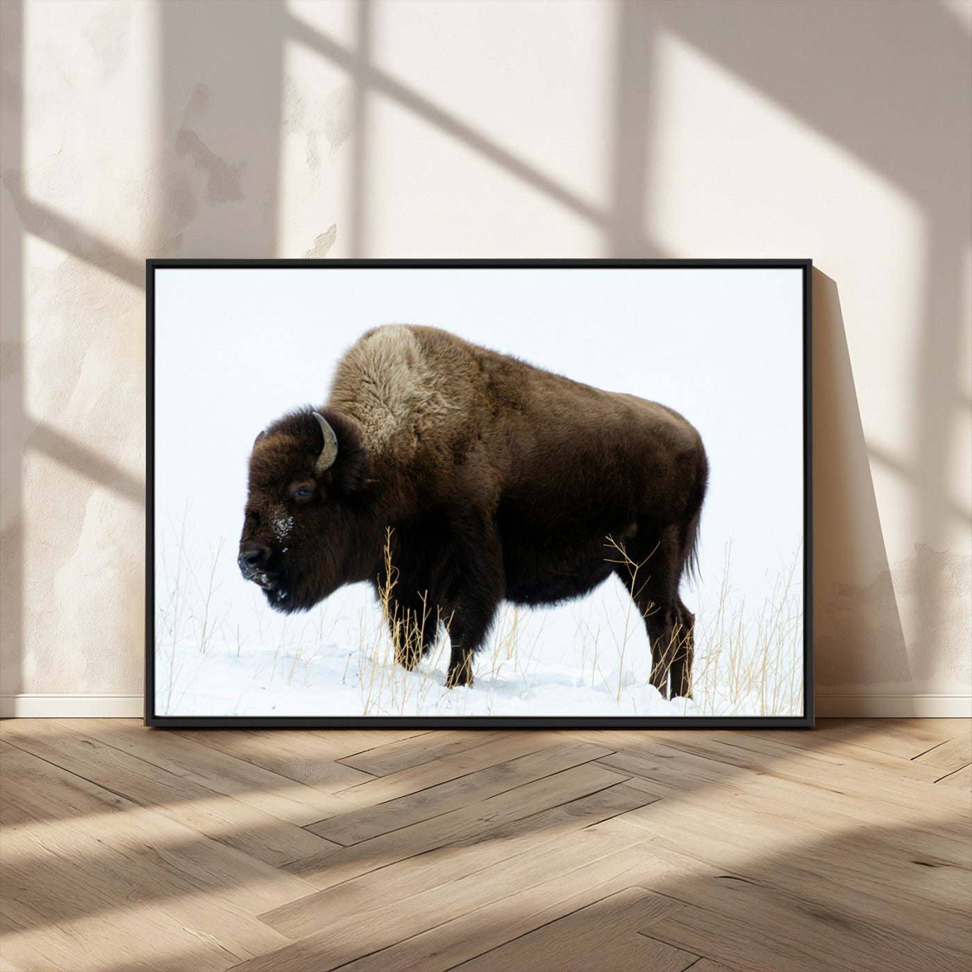 MGV-FC-36X24 - Bison Photography Wall Art Canvas Print, Framed Western Wildlife Art Picture Print, Buffalo On Snow Perfect Western Decor Artwork