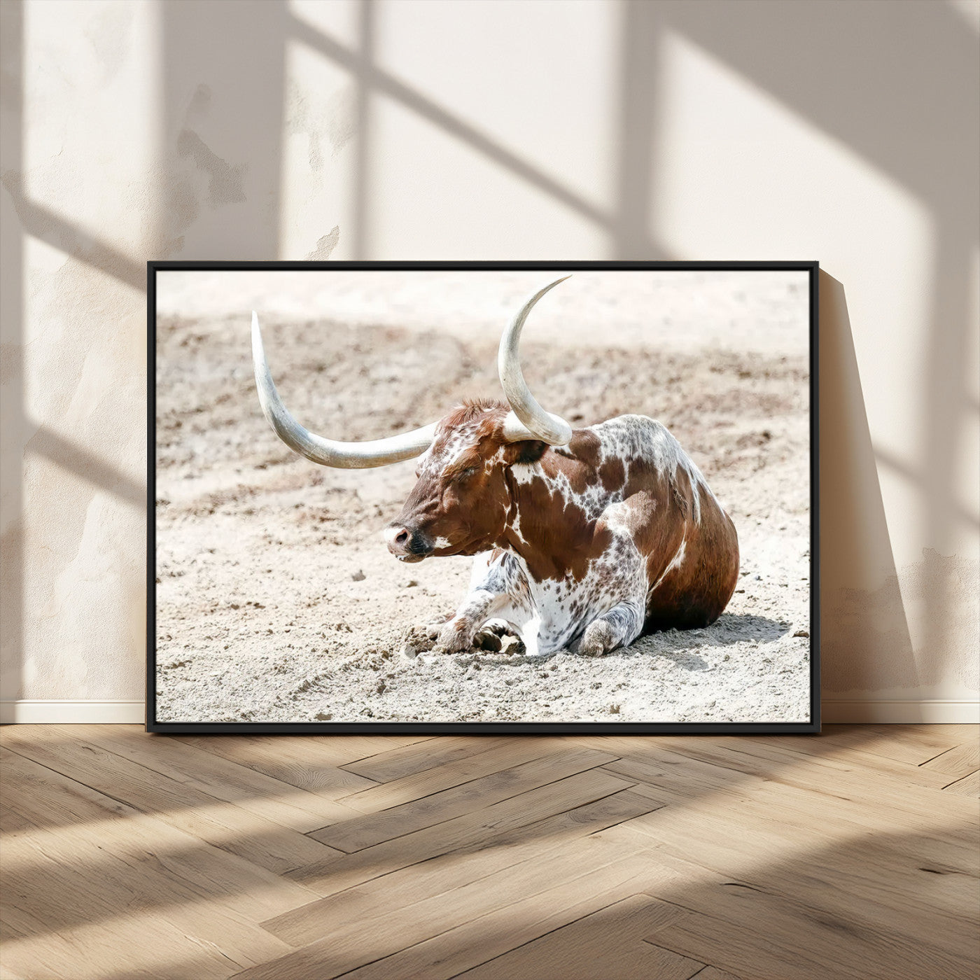MGV-FC-36X24 - Majestic Longhorn Resting on Sunlit Desert Ground – Striking Western-Themed Wall Art Canvas Print