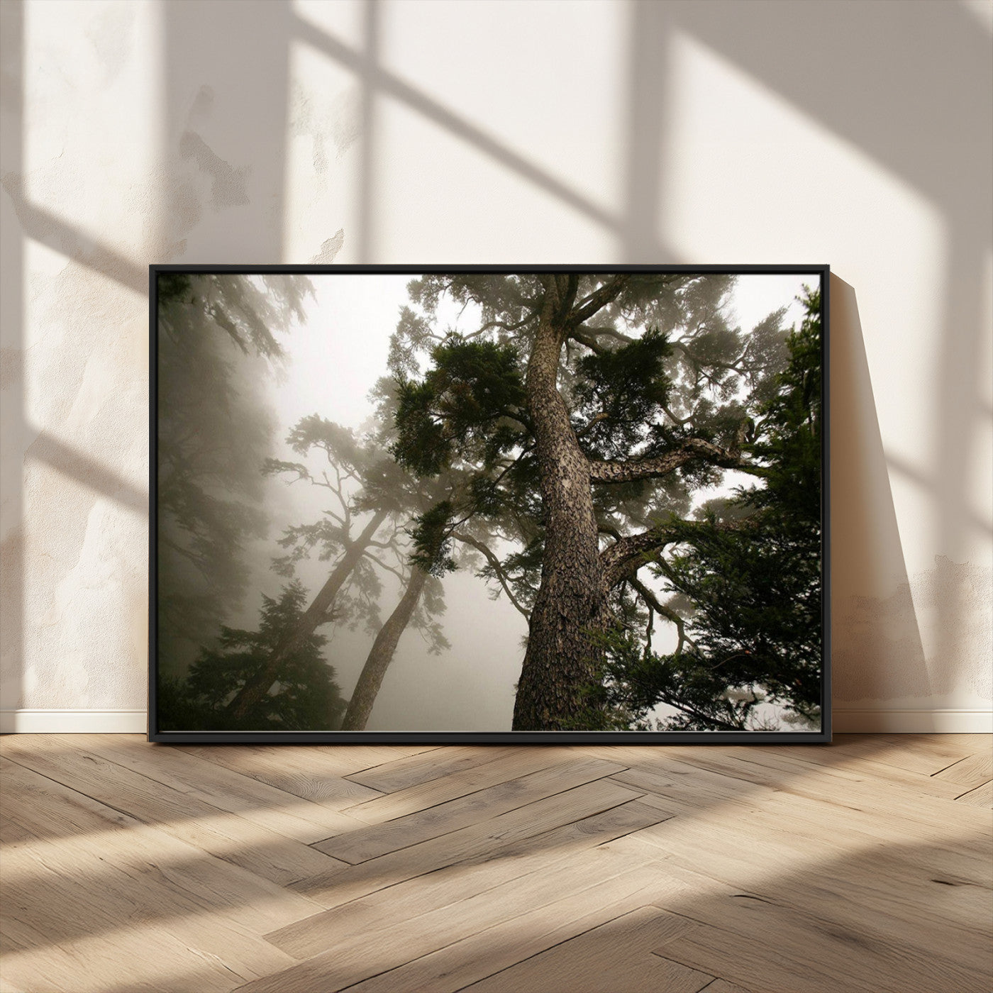 87969493-MGV-FC-36X24_Black-Misty Forest Tall Trees Foggy Atmosphere Nature Serenity Calm Wooded Landscape Tranquil Scene Outdoor Beauty Wall Art Canvas Print
