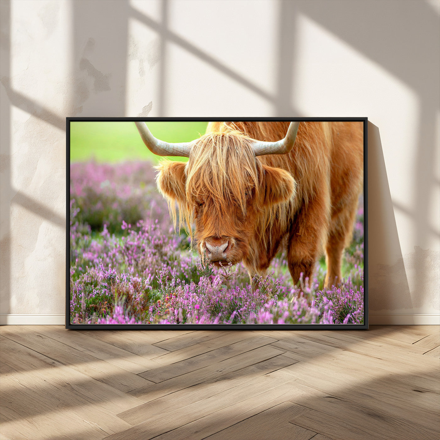 64069351-MGV-FC-36X24_Black-Highland Cow Purple Flowers Nature Pasture Scenic Wildlife Animal Grazing Meadow Calm Rustic Charm Outdoors Peace Wall Art Canvas Print
