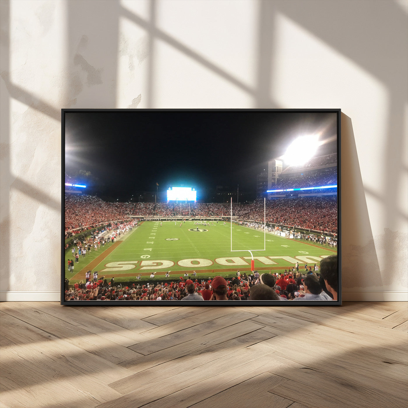 Dooley Stadium Wall Art Print, Sports Arena Canvas Wall Art, Panoramic Stadium Canvas Print, Modern Athletic Field Art Printing
