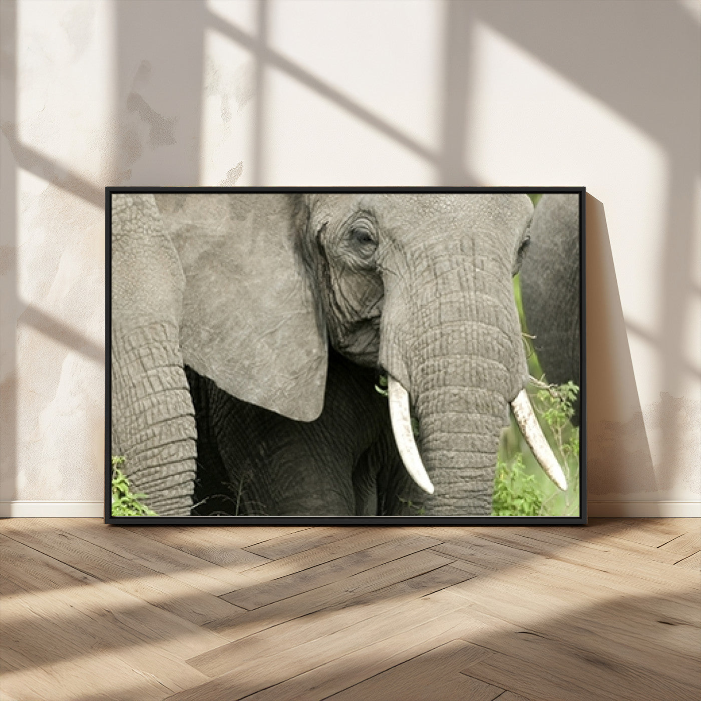 MGV-FC-36X24 - Wild Elephant Wall Art Canvas Print