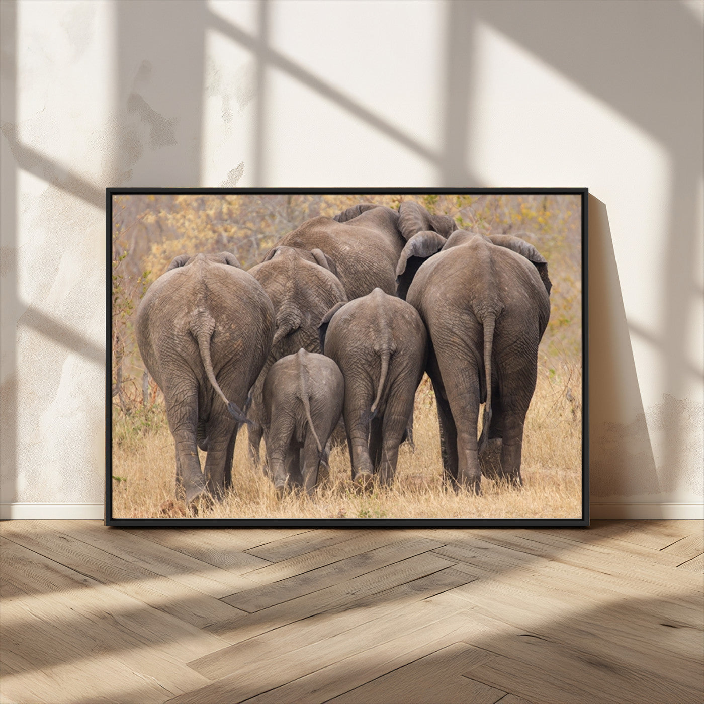 MGV-FC-36X24 - Wild Elephant Wall Art Canvas Print