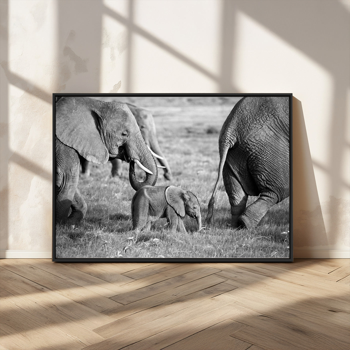 MGV-FC-36X24 - Wild Elephant Wall Art Canvas Print