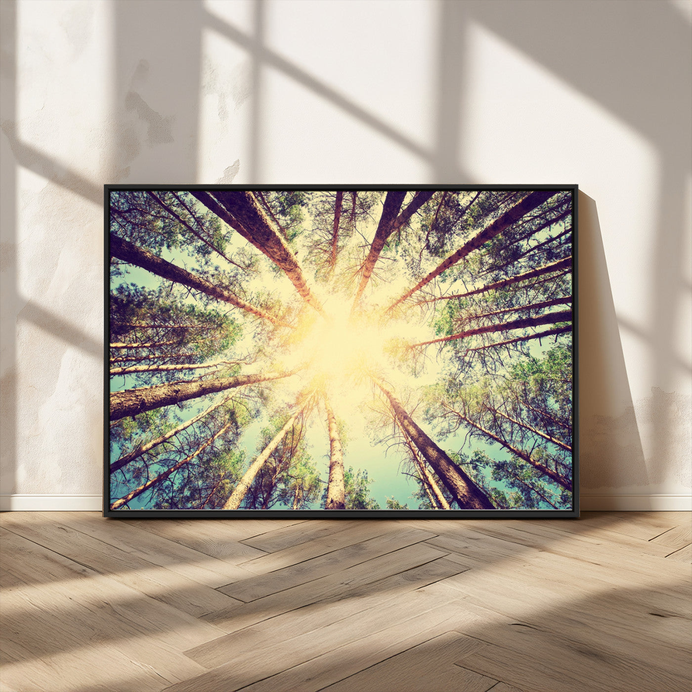 -Tree and Sunshine Canvas Print