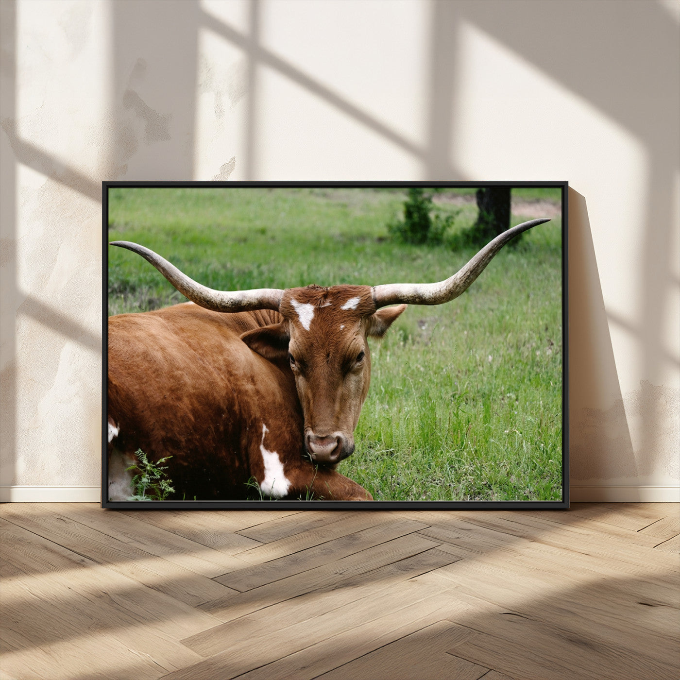 MGV-FC-36X24 - Longhorn Cow Animal Wall Art Canvas Print