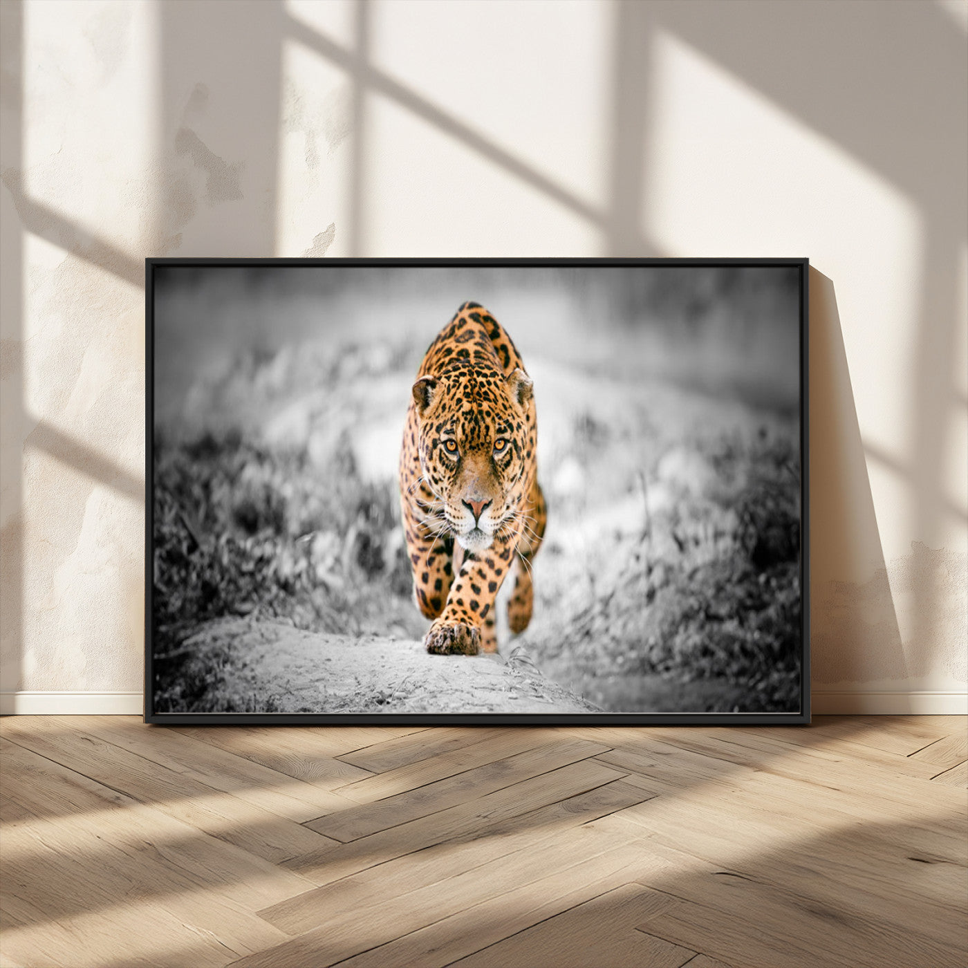 MGV-FC-36X24 - Jaguar Wall Art Canvas Print - Majestic Big Cat in Focused Pursuit - Ready to Hang