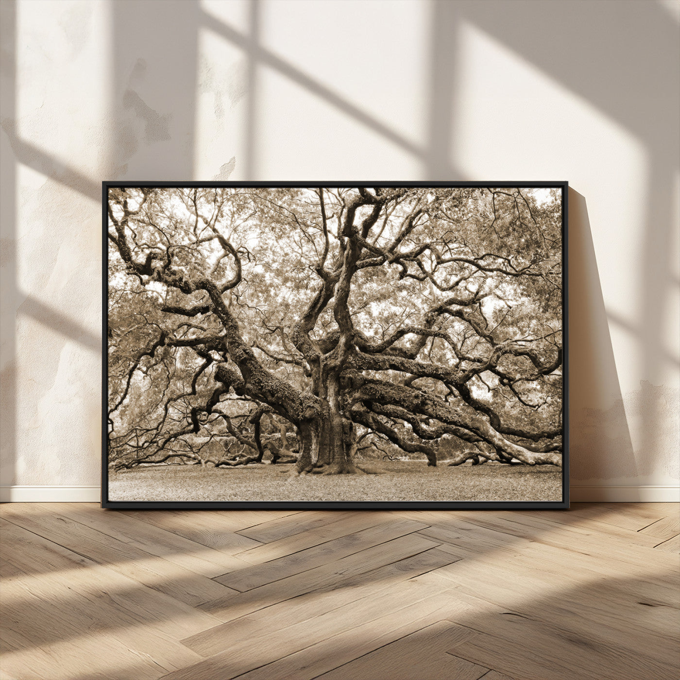 51126-MGV-CV-36X24-Sepia Framed Angel Oak Tree Wall Art - 3-Panel Canvas Prints, Large Green Nature Artwork, Ready to