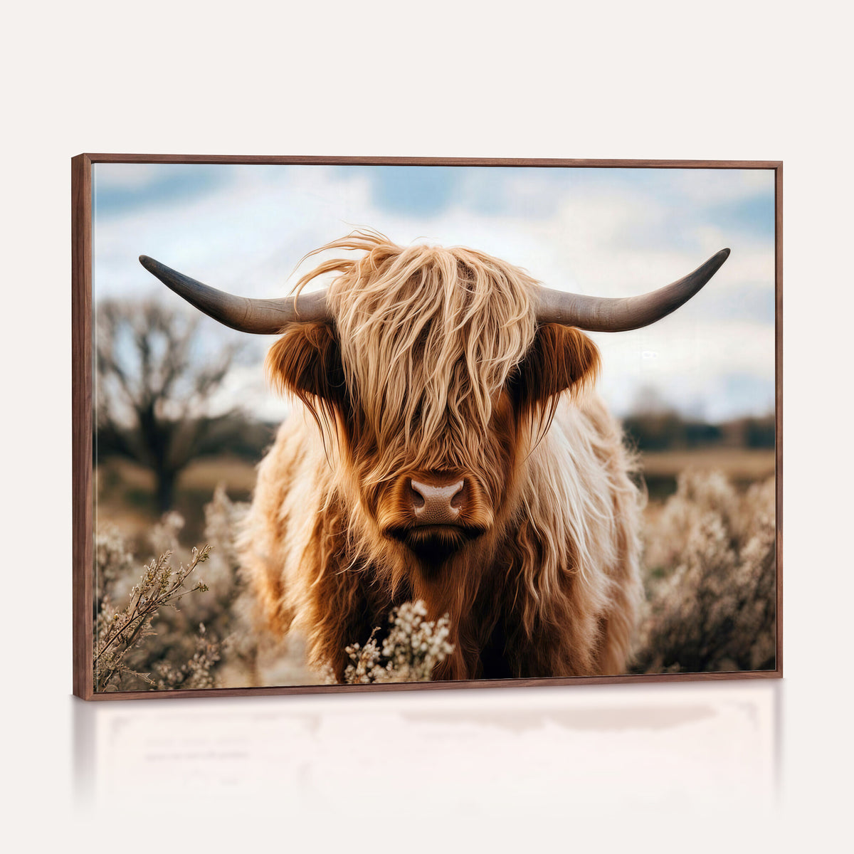 55903-_Poster-30x20 - Scottish Cow Longhorn Wall Art Canvas Print