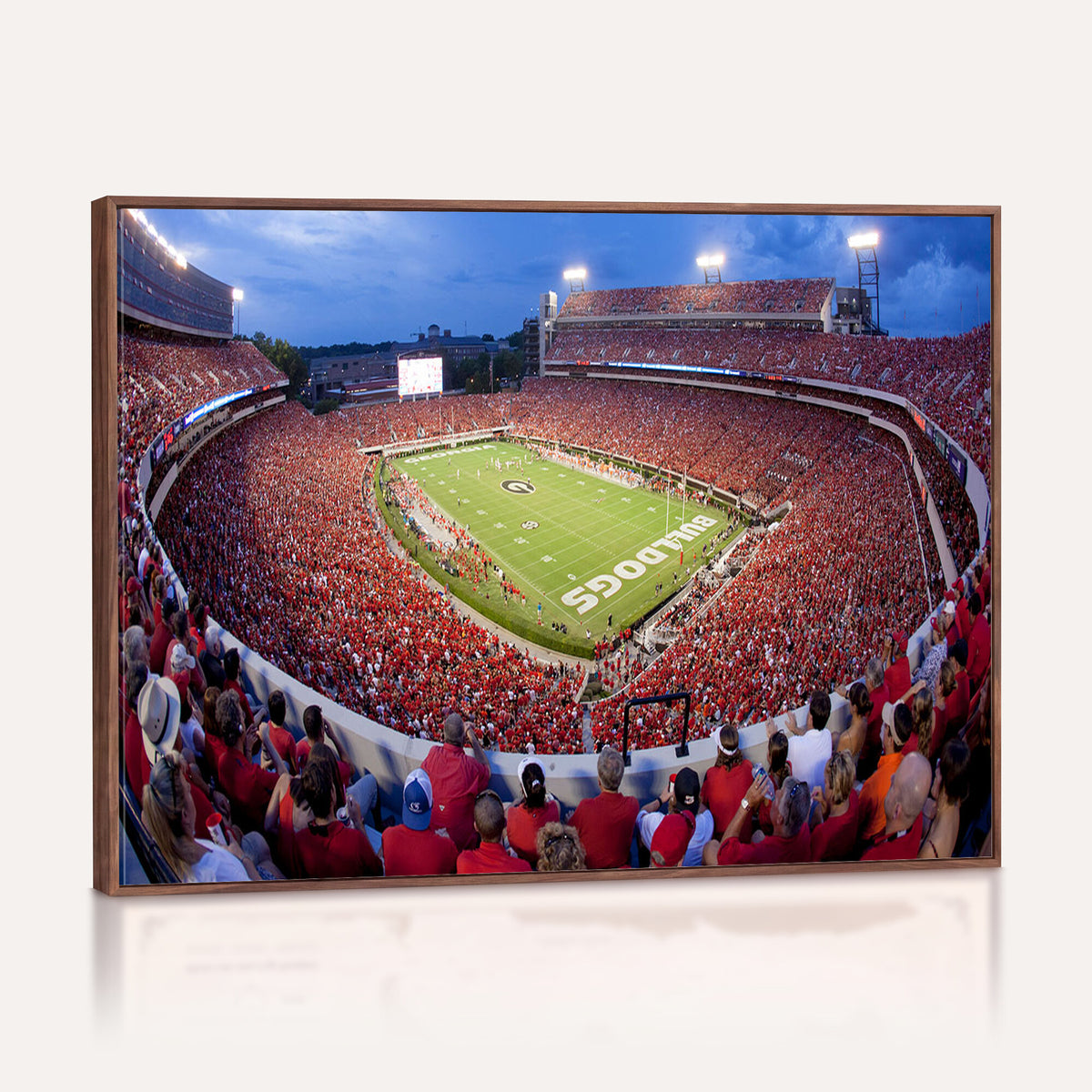 10244378-MGV-CV-36X24 - Dooley Stadium Wall Art, Sports Arena Canvas Print, Dooley Field, Home Bar Wall Decor