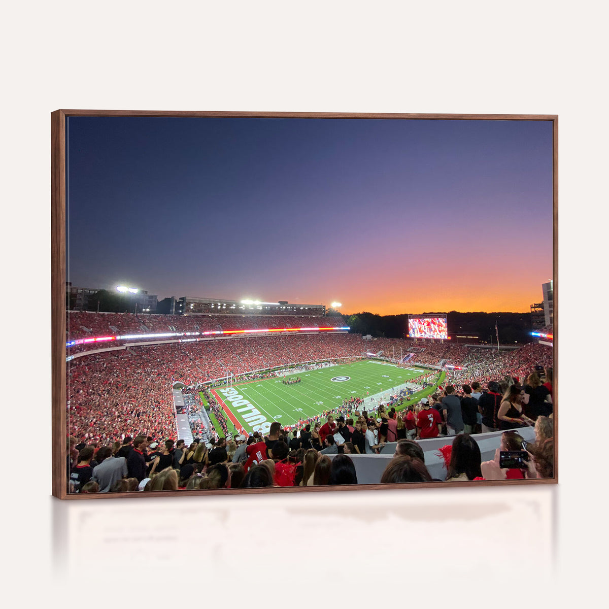25139565-MGV-CV-36X24 - Dooley Stadium Wall Art – Sanford Stadium Football Canvas Print