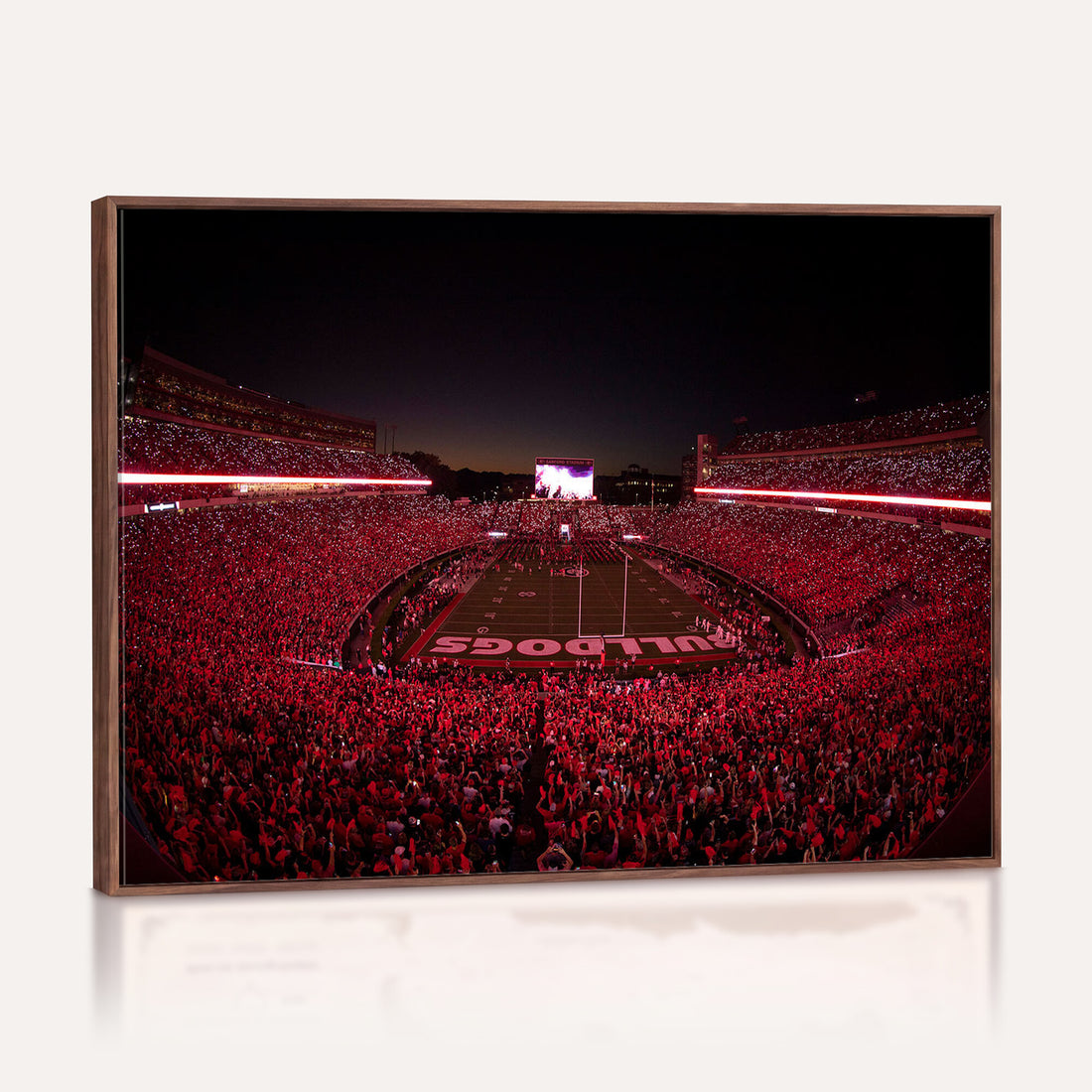 Dooley Stadium Wall Art, Sports Arena Canvas Print, Dooley Field Sanford Stadium