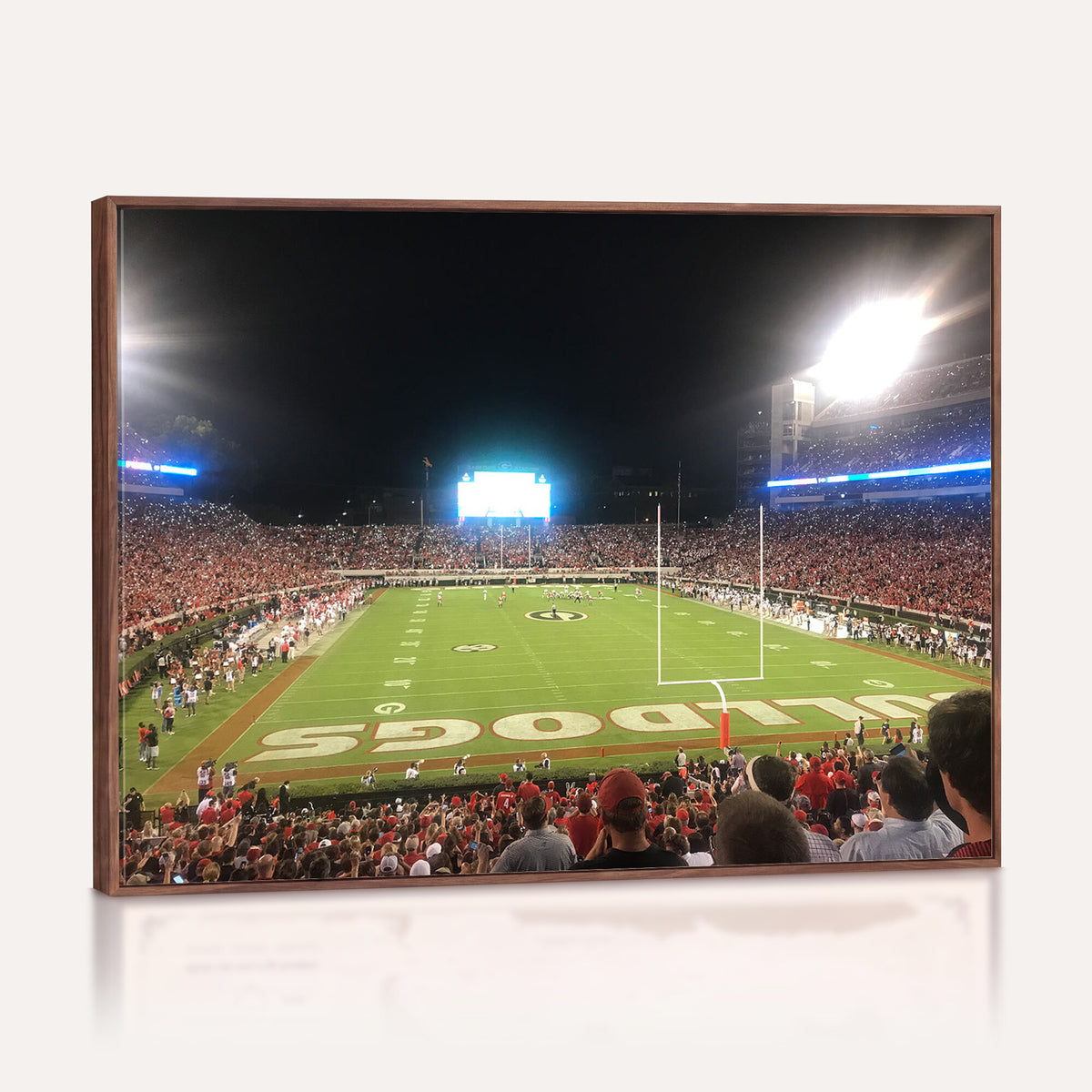 16230786-MGV-CV-36X24 - Dooley Stadium Wall Art, Sports Arena Panoramic Canvas