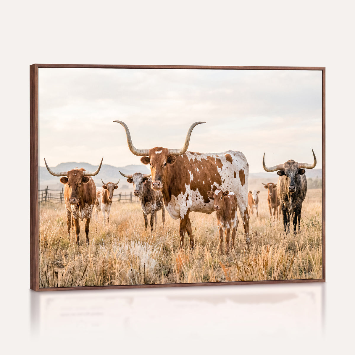 62336425AC-MGV-CV-36X24 - Texas Longhorn Canvas Wall Art, Rustic Farm Animal Photography Print, Farmhouse Country Decor, Western Ranch Art