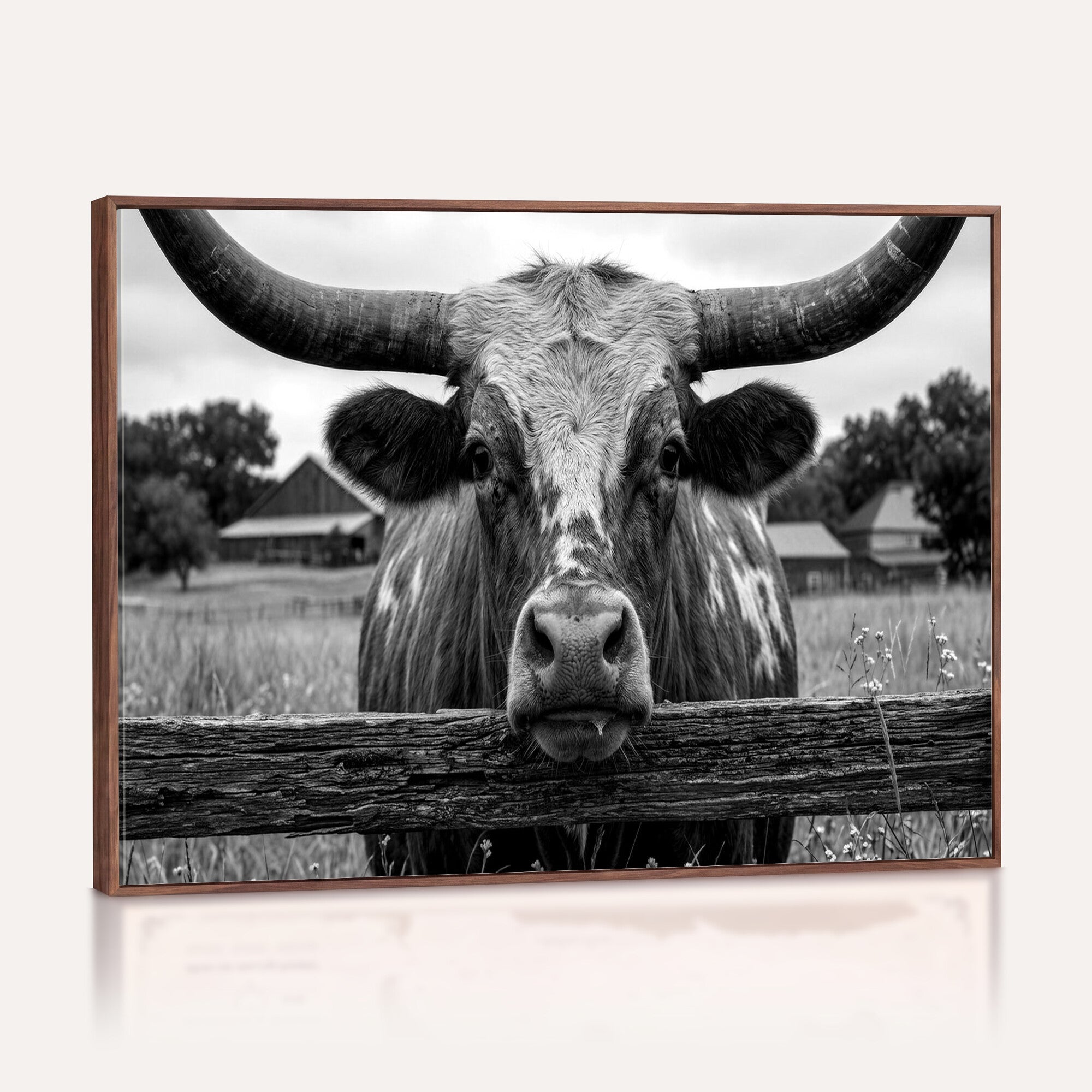 59378683B-MGV-CV-36X24 - Black White Texas Longhorn Bull Canvas Wall Art, Western Ranch Cattle Photography Print, Rustic Farmhouse Cowboy Decor Artwork