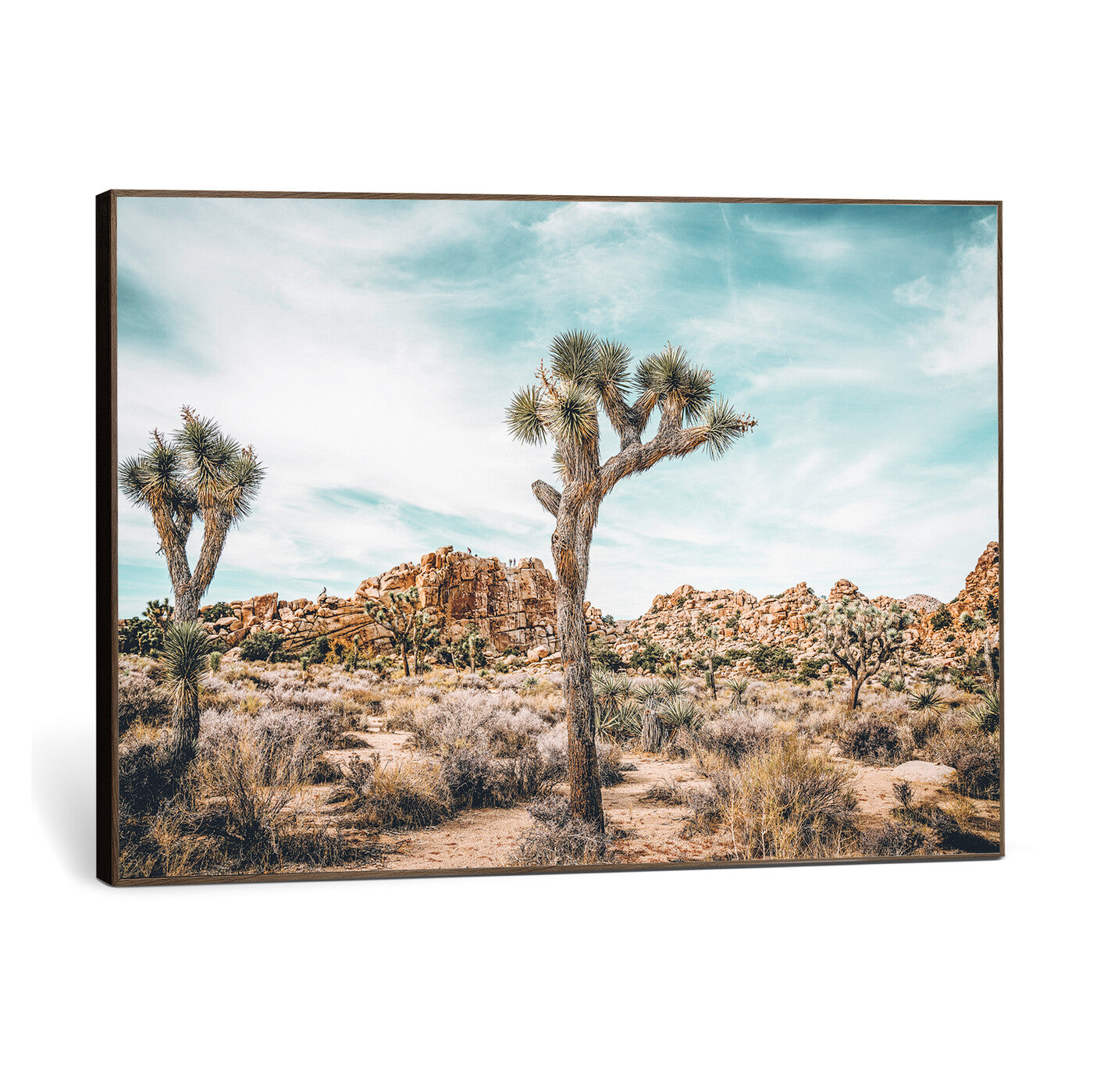 41451127-MGV-CV-36X24 - Joshua Tree National Park Canvas Wall Art Print, Desert Landscape Photography, Southwest Nature Decor - Ready to Hang