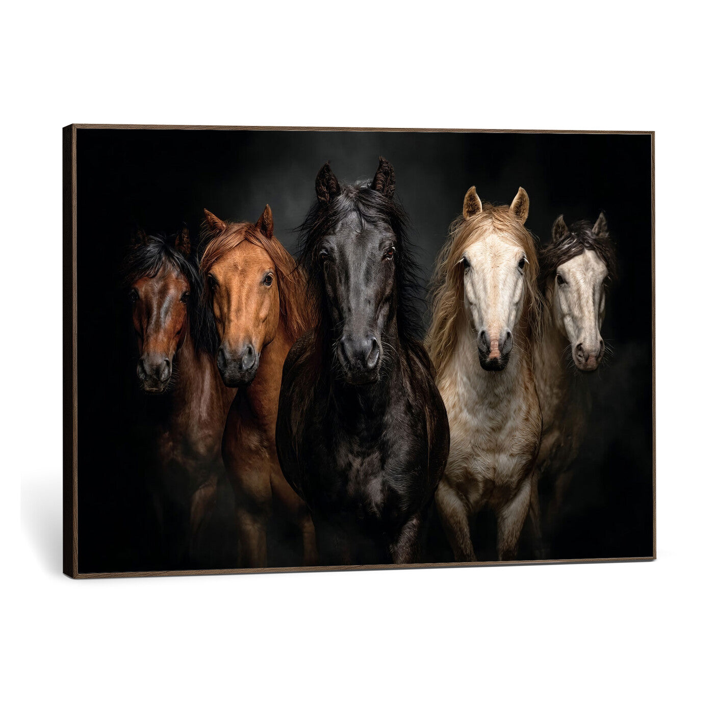77696206-MGV-CV-36X24 - Horse Wall Art Canvas Print | Wild Horses Portrait Photography, Animal Horse Decor, Black Brown White Horse Herd