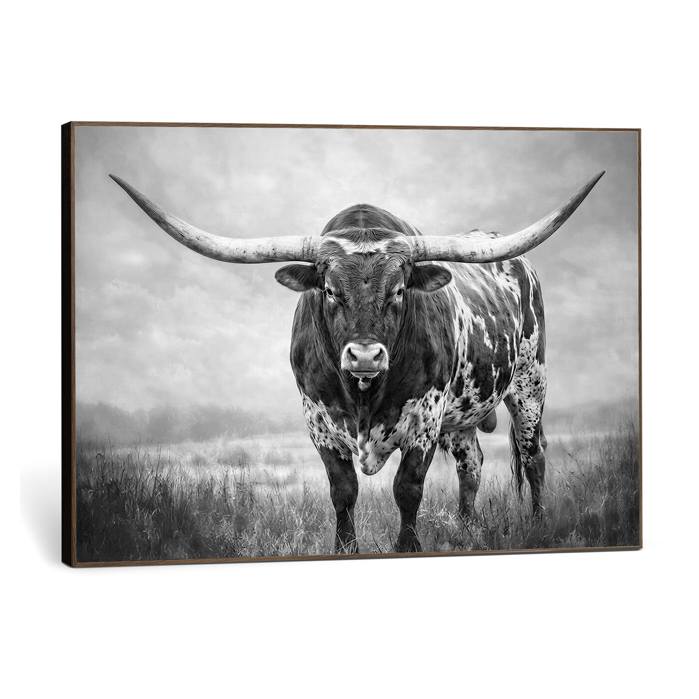 11121585-MGV-CV-36X24 - Texas Bull Wall Art Canvas Print for Farmhouse Restaurant Wall Decor