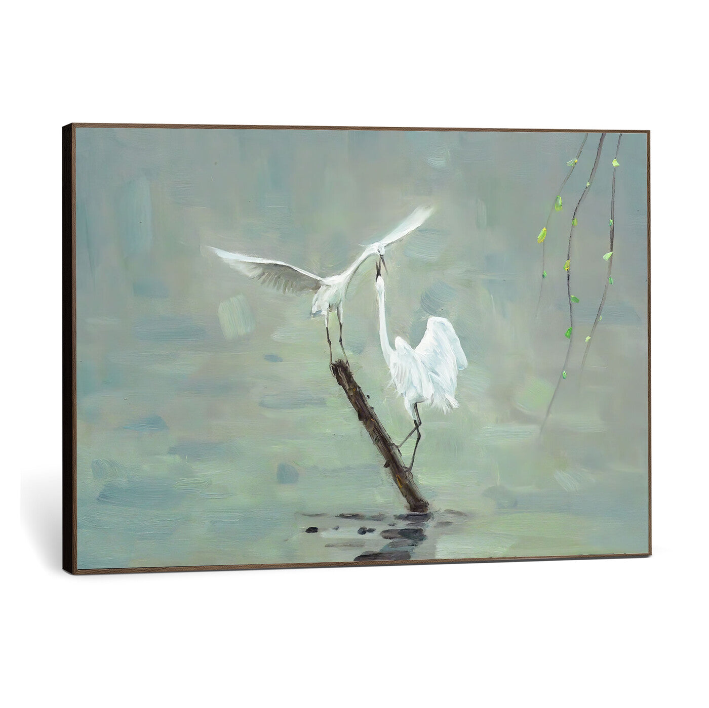 91124838-MGV-CV-36X24 - Two White Egrets on Marsh Branch Wall Art Canvas Print - Vintage Style Coastal Bird Poster