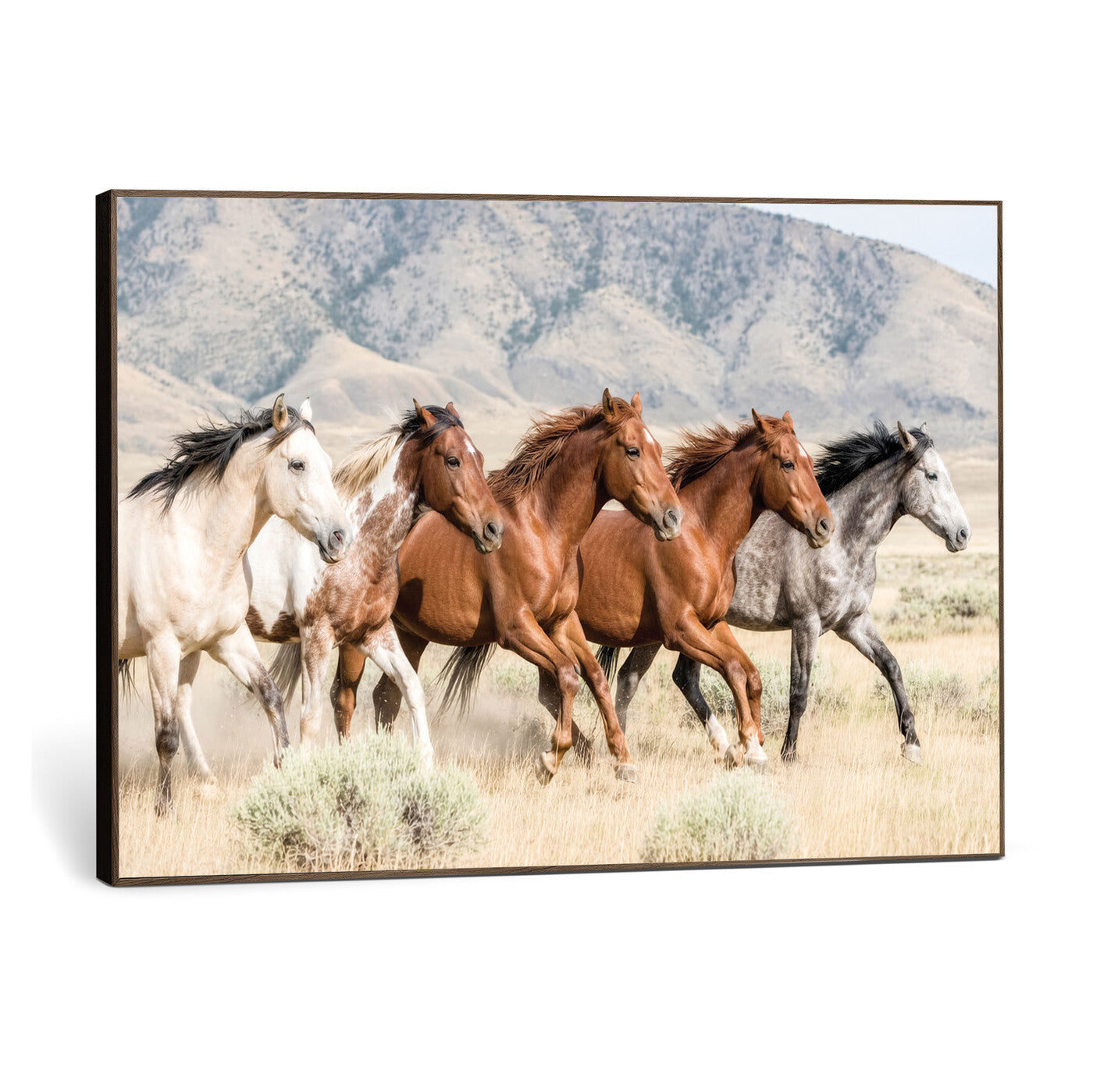 68345893-MGV-CV-36X24 - Five Mustangs Running Wild in Mountain Valley Wall Art Canvas Print - Rustic Western Decor