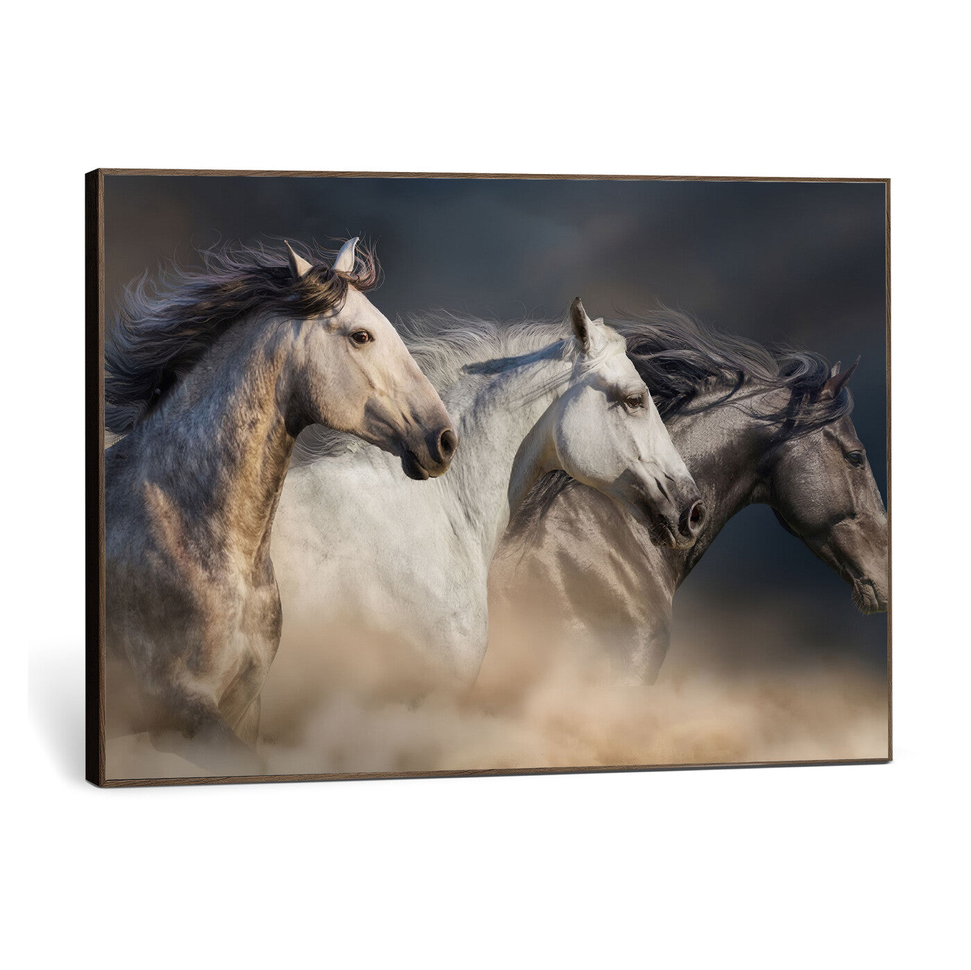 85088910-MGV-CV-36X24 - Three Wild Horses Galloping in Dust Storm Wall Art Canvas Print | Powerful Wildlife Fine Art