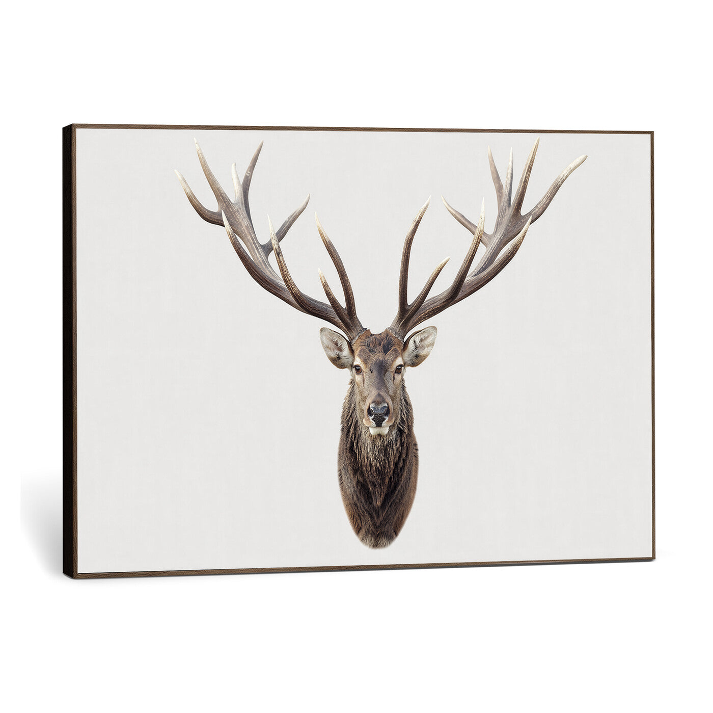 840173GY-MGV-CV-36X24 - Majestic Red Deer Canvas Wall Art – Stag Antlers Horns Print, Wildlife Hunting Poster, Rustic Cabin Lodge Decor