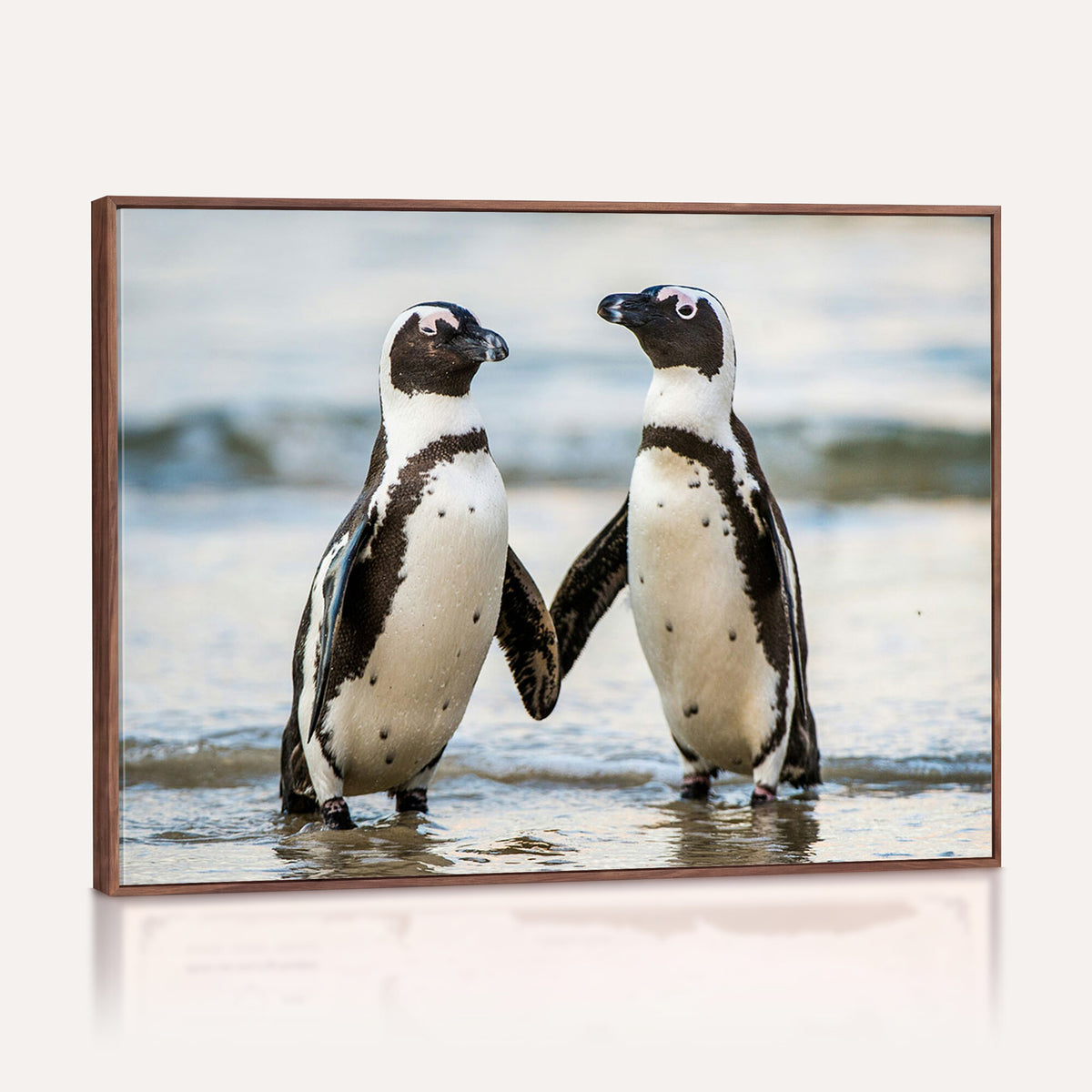 64870405-MGV-TP-30X20 - African Penguins Boulders Beach Wall Art Canvas Print, Cute Penguin Couple Photo Print