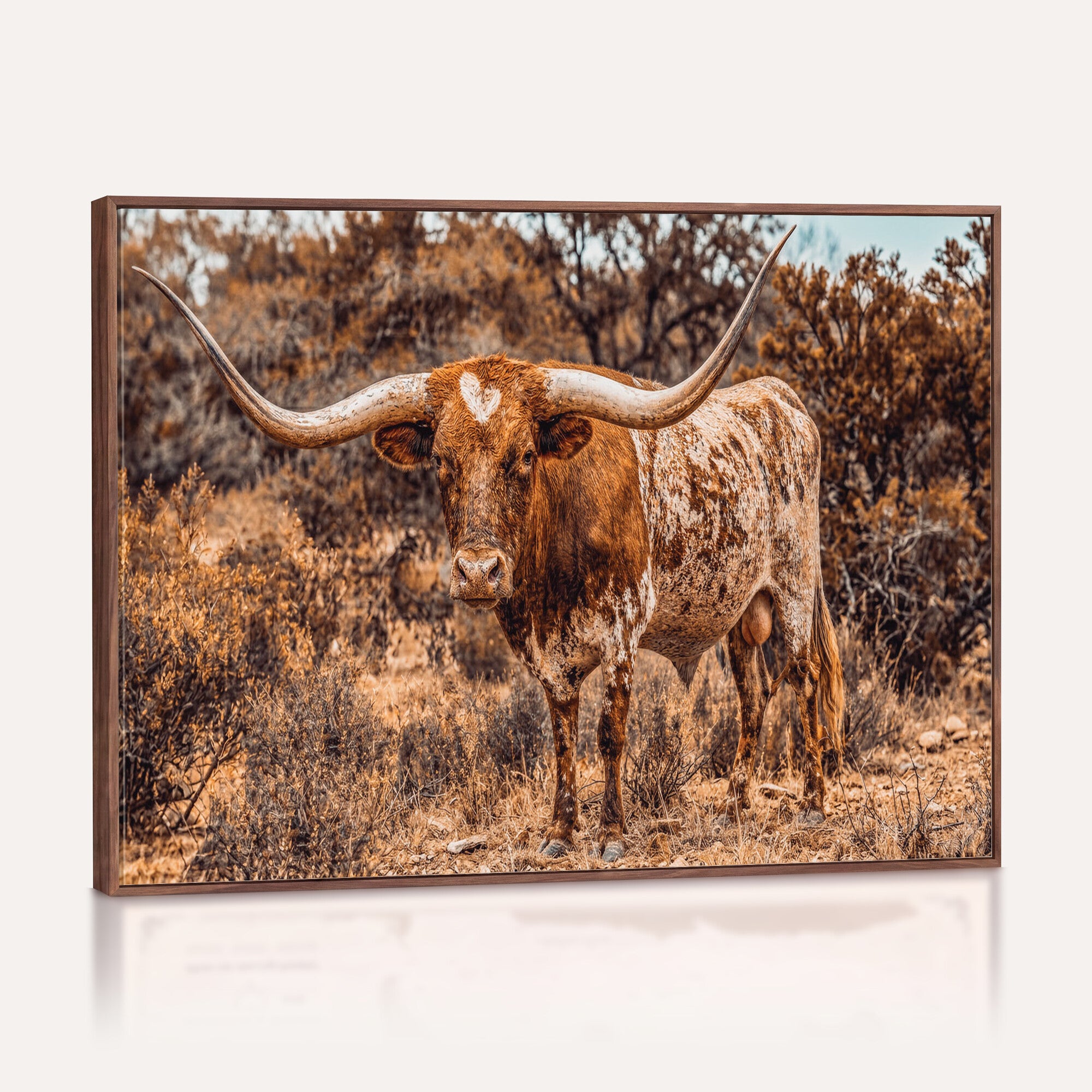 62076449-MGV-CV-36X24 - Texas Cow Bull Longhorn Print for Western Wall Art Decor for Farmhouse