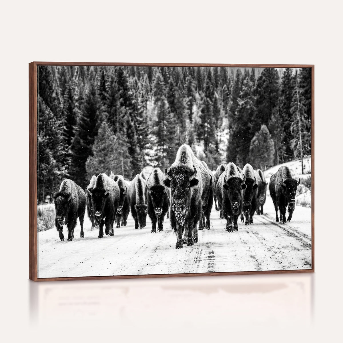 79337077-MGV-CV-36X24 - Black and White Bison Canvas Art, American Buffalo Print, Winter Wildlife Photography, Rustic Forest Wall Decor, Large Statement Nature Gift
