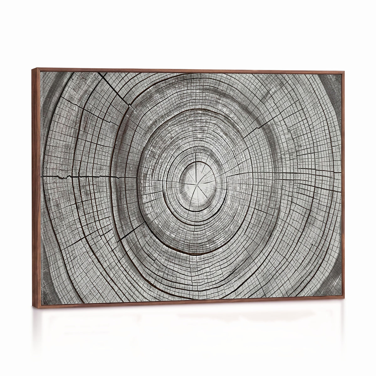 62842388-MGV-CV-36X24 - Rustic Tree Ring Canvas Wall Art, Gray Wood Slice Abstract Nature Print